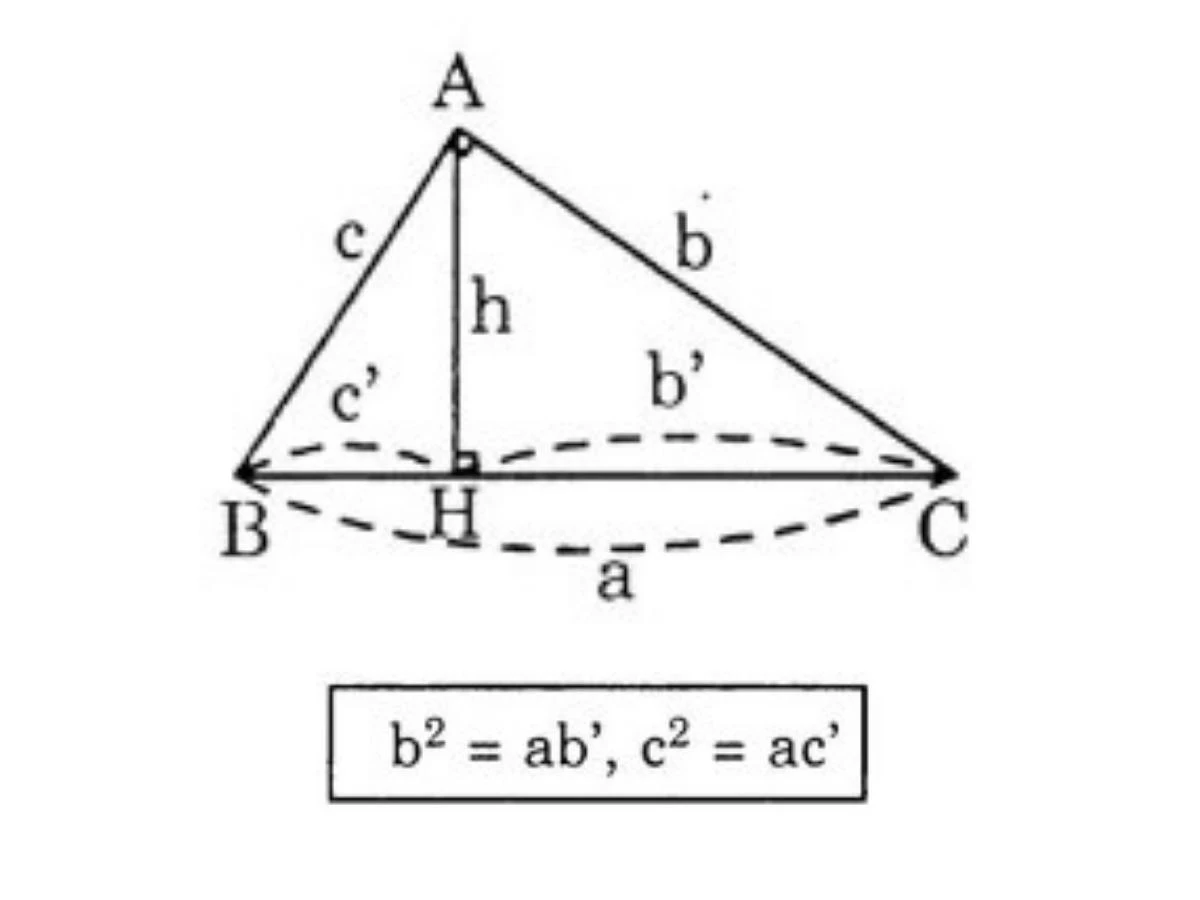 Hệ thức về cạnh và đường cao