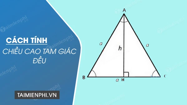 Cách tính đường cao tam giác đều