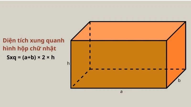 Hình ảnh minh họa diện tích toàn phần