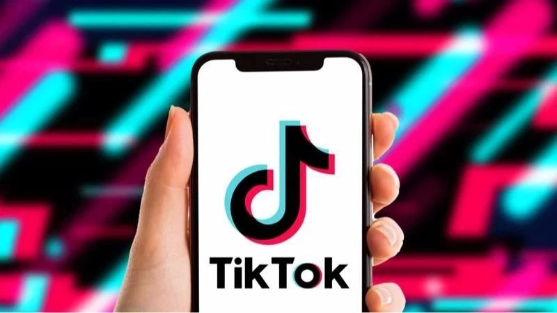 Cách tải video TikTok không có logo trên SnapTik