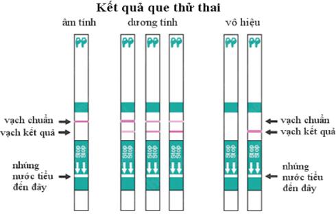 Hình ảnh que thử thai 2 vạch như thế nào là đã có thai?