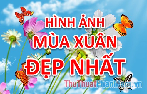 Bức tranh Mùa Xuân – Bộ sưu tập những hình ảnh tuyệt vời nhất