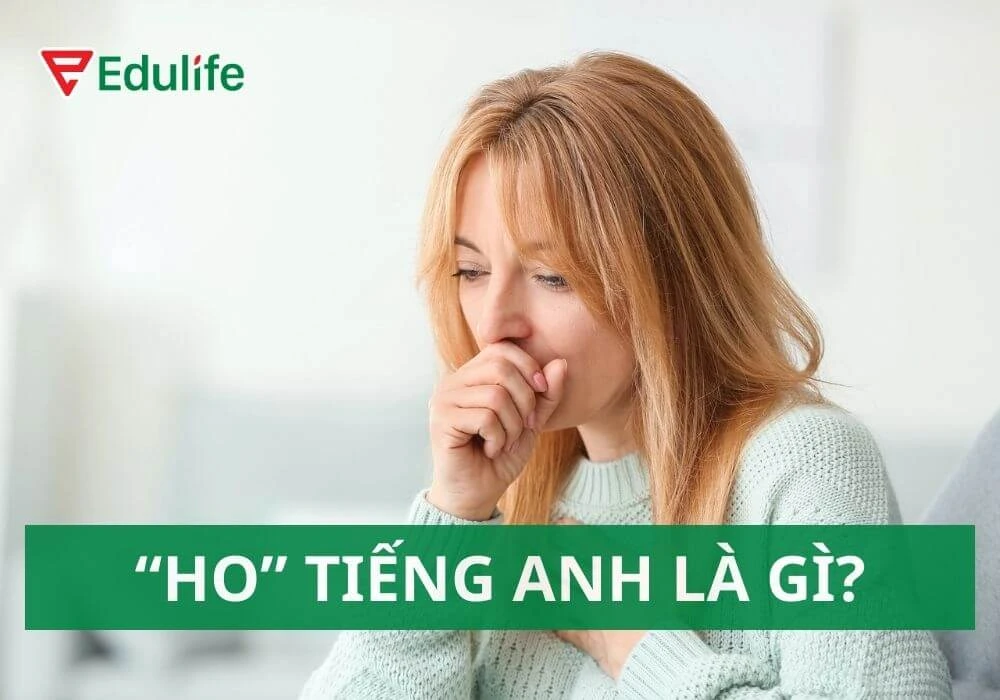 Ho tiếng Anh là gì? Từ vựng 40+ loại bệnh trong tiếng Anh