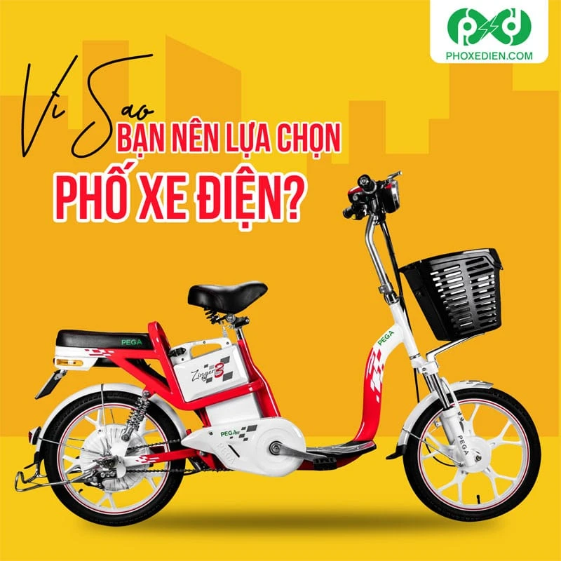 Xe đạp điện Pega - HKbike