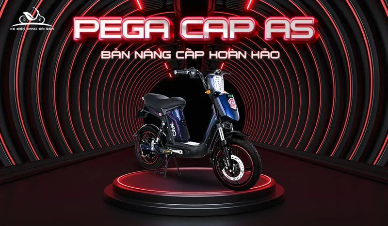 Xe đạp điện Pega CAP AS