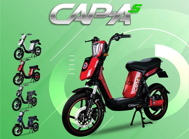 Xe đạp điện Pega - HKbike