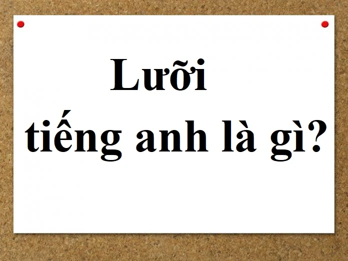 Lưỡi tiếng Anh là gì và ý nghĩa của nó