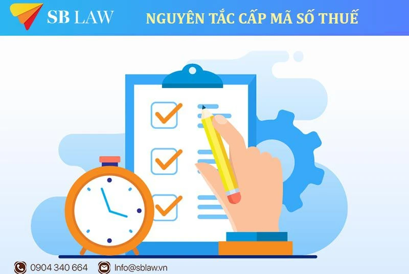 Mã số thuế là gì? Tax code là gì? Cách tra cứu mã số thuế đơn giản nhất