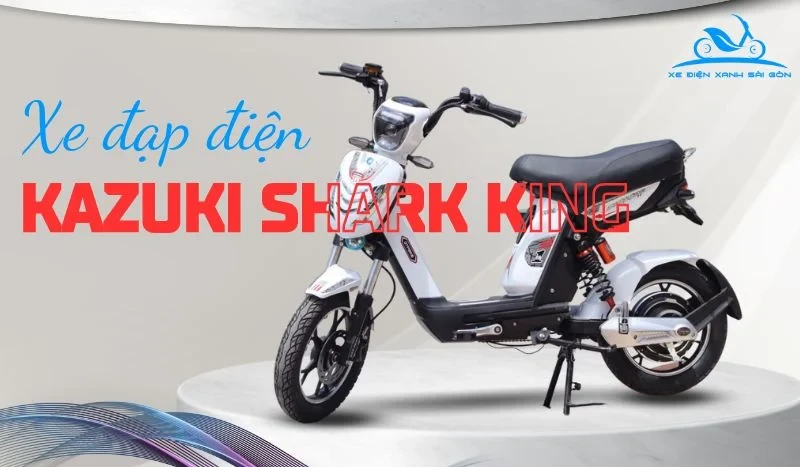 Xe Đạp Điện Kazuki Chính Hãng, Giá Tốt Nhất TP.HCM