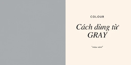 Gray là màu gì? Cách dùng và lưu ý