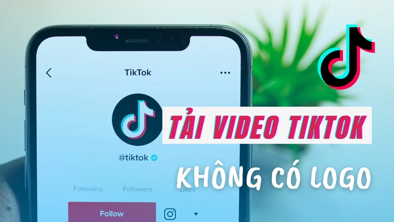 Hướng dẫn tải video trên TikTok không có logo