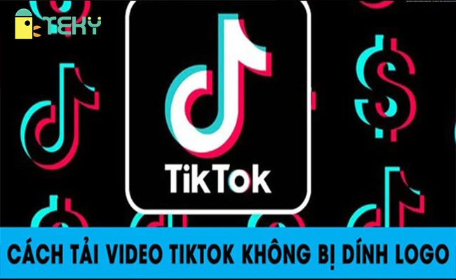 Hướng dẫn tải video TikTok không logo hoamitech dễ dàng